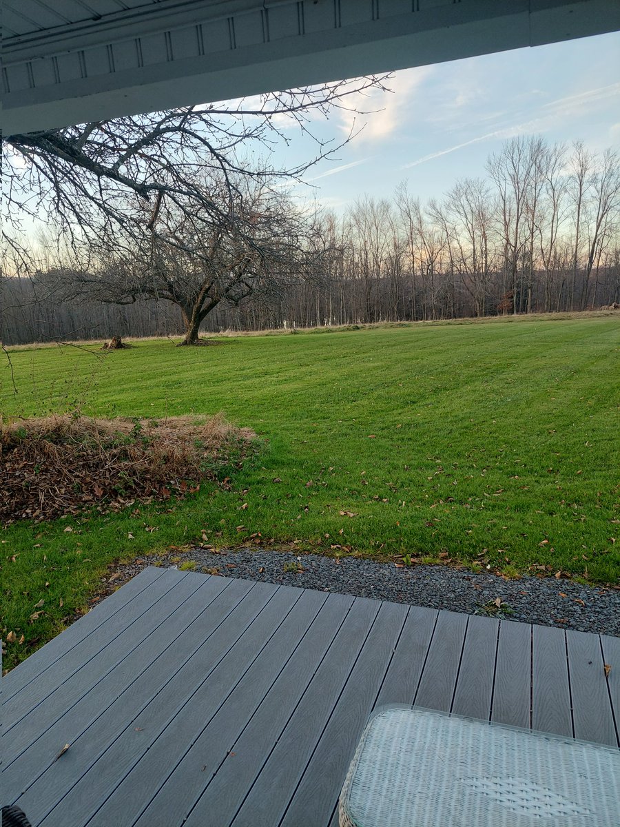 BeyondCycle's tweet photo. Tiny house for Thanksgiving-
Really enjoying this spot in Waymart, Pennsylvania. Its a great space just to kickback for the holidays. Peace!πππΏπ‘π
#beyondcycle #HappyThanksgiving #tinyhouse #roadtrip #coolvibes https://t.co/1CgAjt7iLL