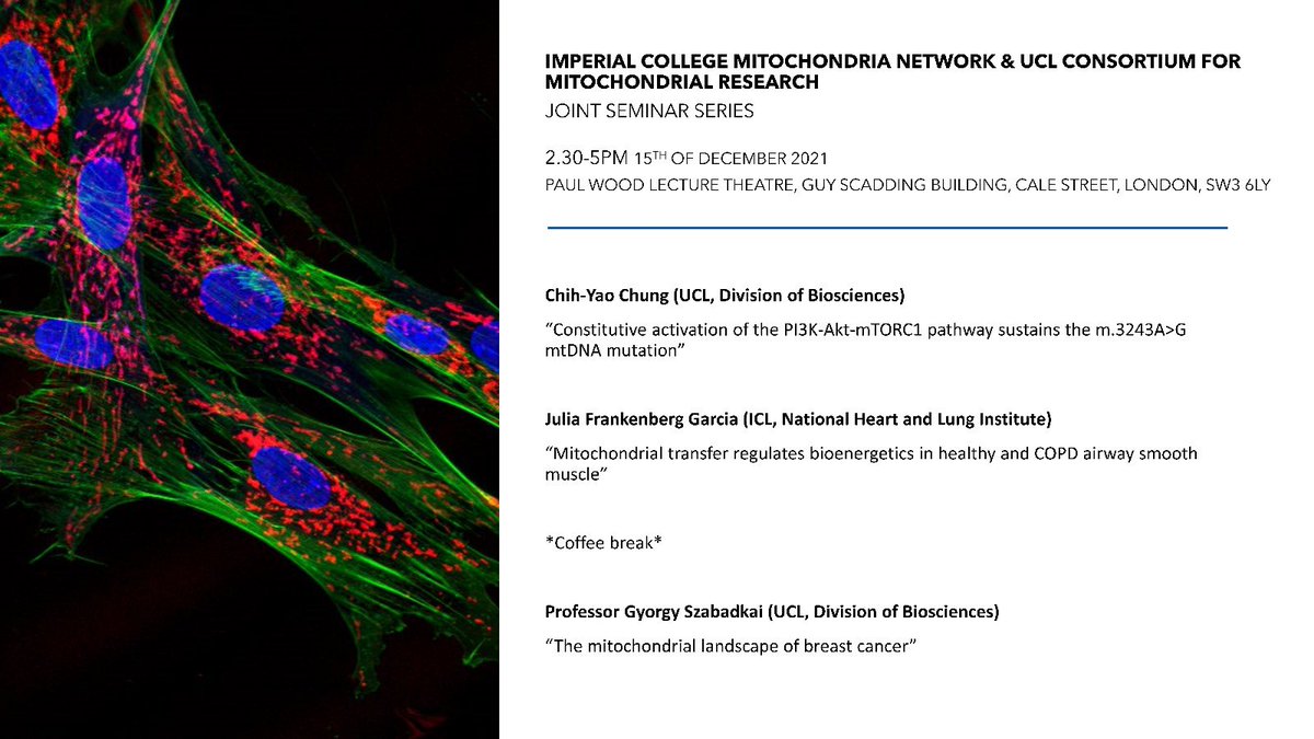 * revised date* come and join us December 15th 2.30-5pm for the joint <a href="/icmito/">Imperial College Mitochondria Network 🇵🇸</a> and <a href="/UCL_CfMR/">UCL_CfMR</a> mitochondrial research seminar! 
Register here👇
eventbrite.co.uk/e/icl-ucl-mito…