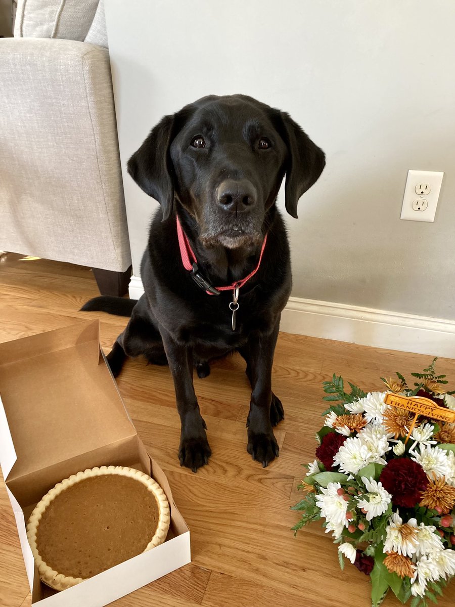ScooterBPS's tweet photo. Happy thanksgiving! I’ll bring the pie and center piece. https://t.co/gFeqmAvh3h