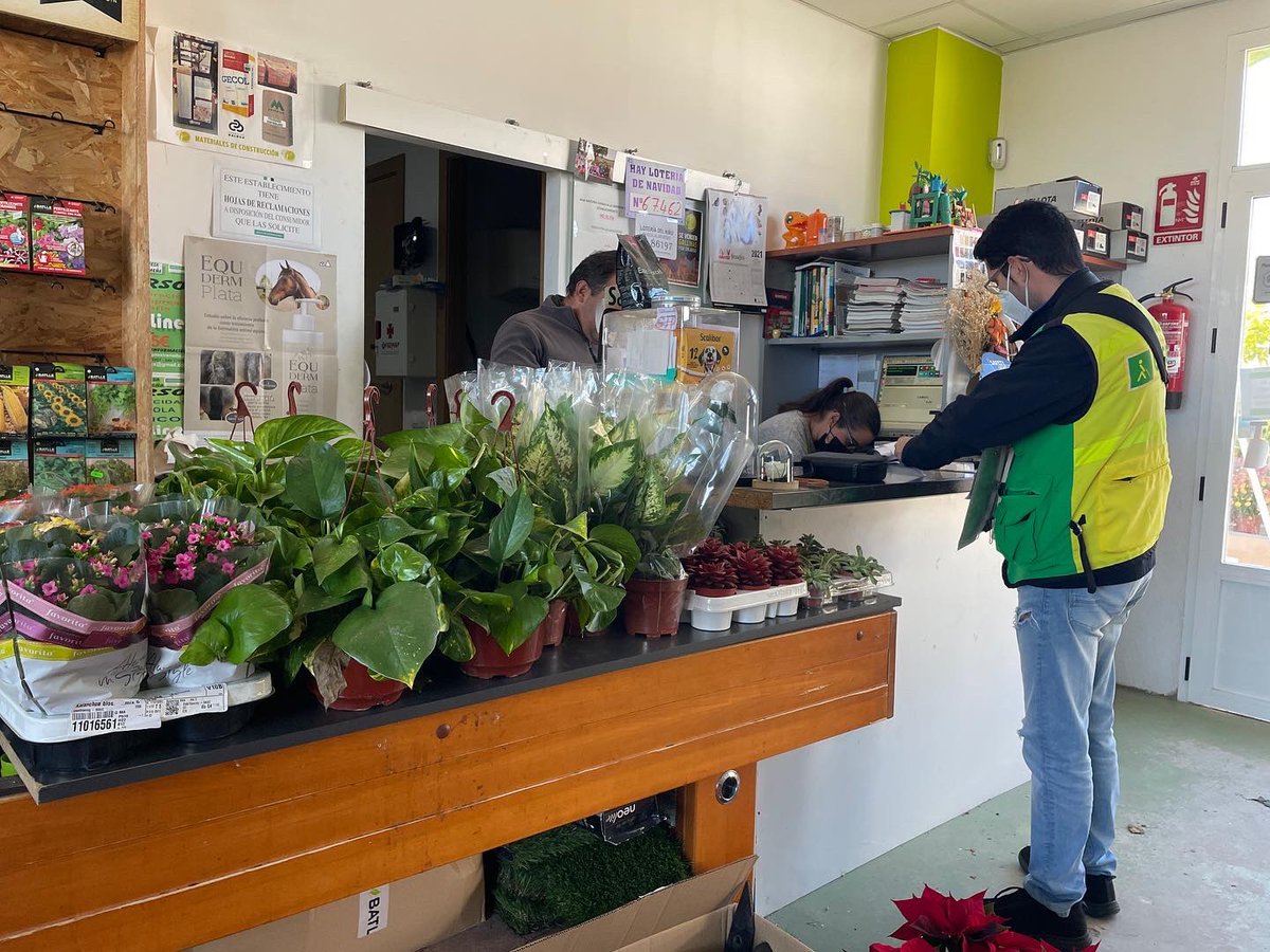 🌺 ¡Ya es Navidad en Agrogarden… con permiso siempre de #LaEncamisá!

👉🏼 Gran colección floral recién llegada, encabezada por nuestra querida Flor de Pascua.

🎅🏼 Artículos navideños de la mano de #EDMProduct.

📲 #ViveLaJardinería #ViveLaNavidad y #ViveLaEncamisá