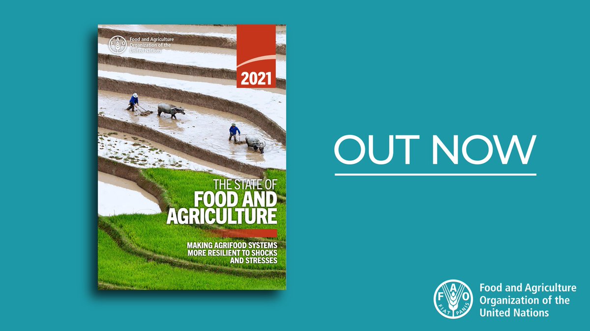 #InCaseYouMissedIt

<a href="/FAO/">Food and Agriculture Organization</a>'s The State of Food &amp; Agriculture 2021 report offers a close-up look at how we can make agrifood systems more resilient to shocks &amp; stresses, &amp; in turn provide affordable, healthy diets for all 
👉bit.ly/3FQ9ma3

#SOFA2021 #FoodSystems