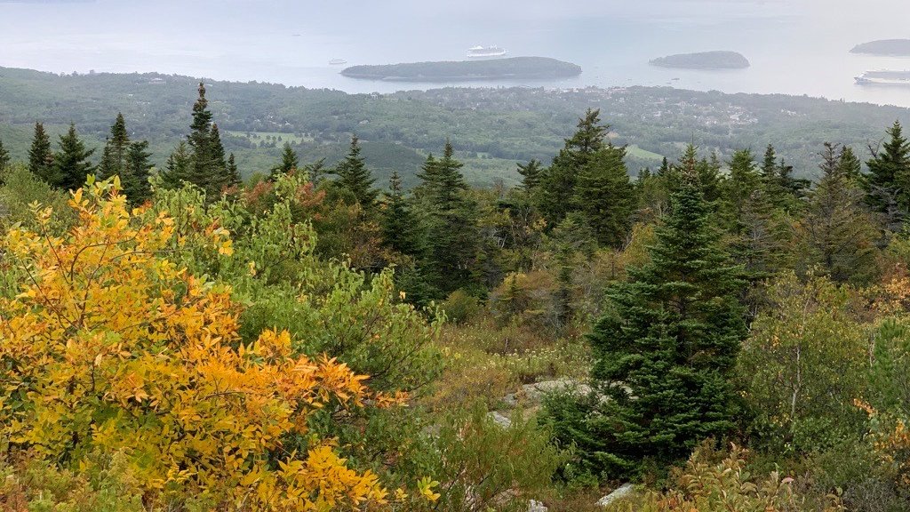 I experienced the true meaning of #Thanksgiving when my family and I lived in the US. Taking a moment and being #grateful for the blessings we have been given. Wishing all a wonderful Thanksgiving - and a moment to just embrace.
#Thankful