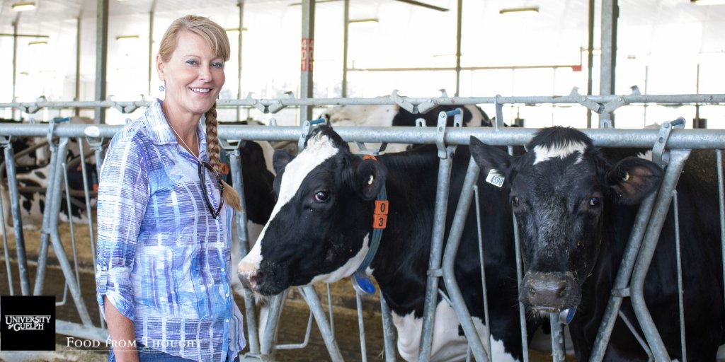 UofG_FfT's tweet photo. Congrats👏 to #FfTResearcher Dr. Bonnie Mallard on winning the prestigious NSERC Synergy Award for Innovation for her leading research in livestock disease resistance!
Read more: https://t.co/OHDfsZmzu3 https://t.co/JvNUvOiU3L