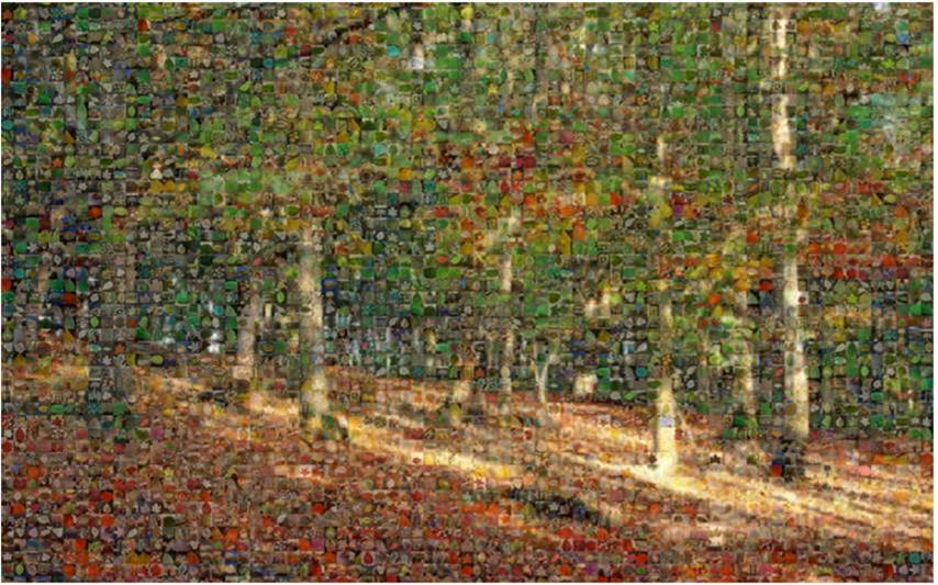 tpsbd13's tweet photo. We are so #proud of our children who created their #forestofpromises for the #COP26 climate change conference. All promises received have been included on this amazing picture. #climatechange @wwf_uk https://t.co/6OccboBuka