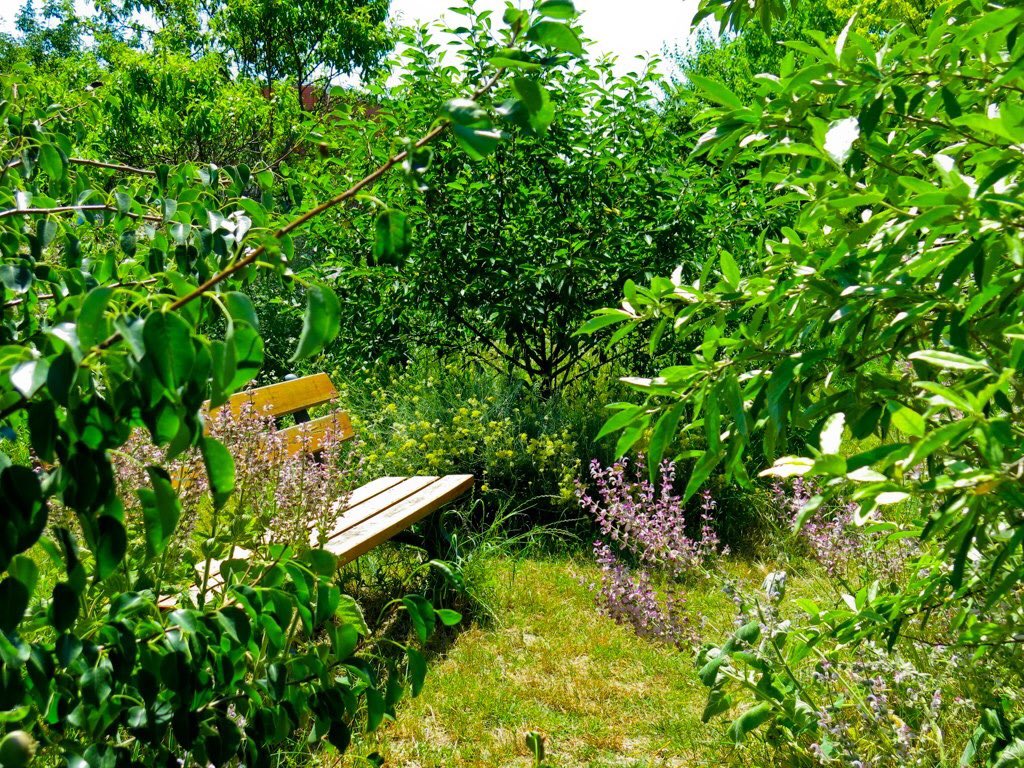 Food Forests Global tweet media