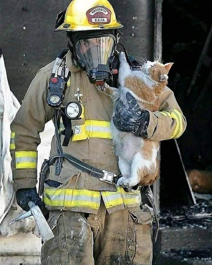 ابو عادل tweet media