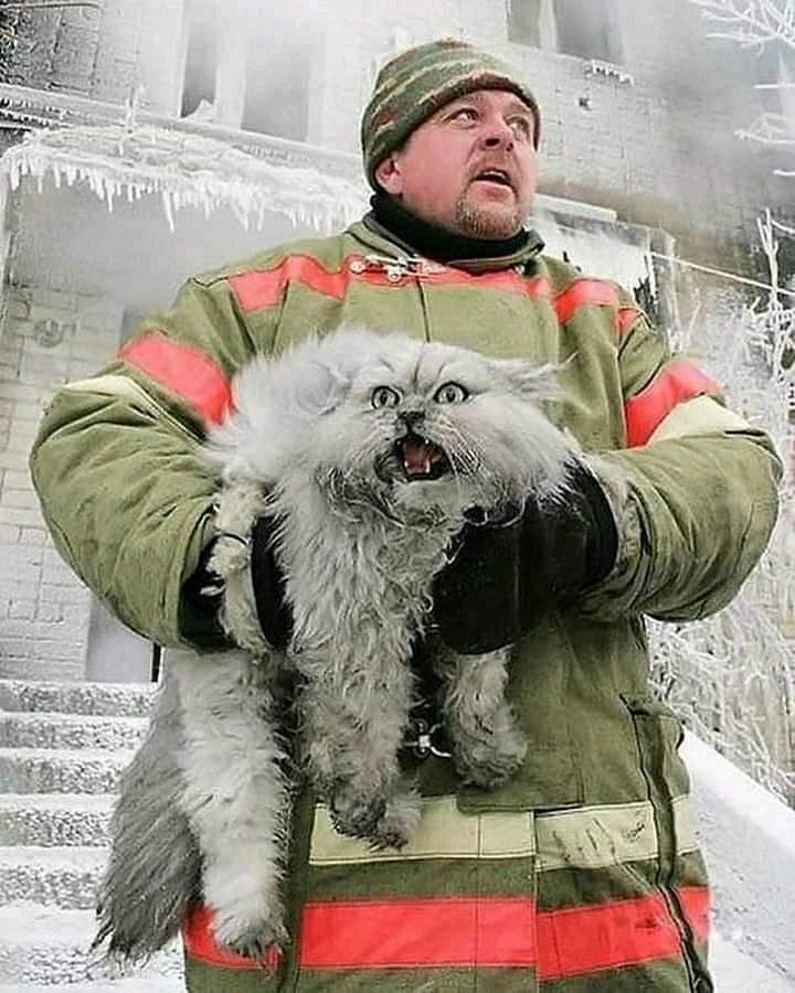 ابو عادل tweet media