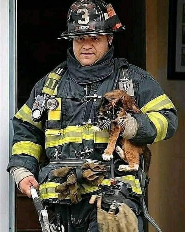 ابو عادل tweet media