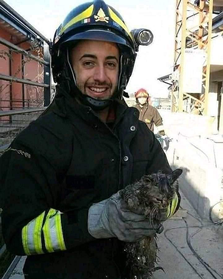 ابو عادل tweet media