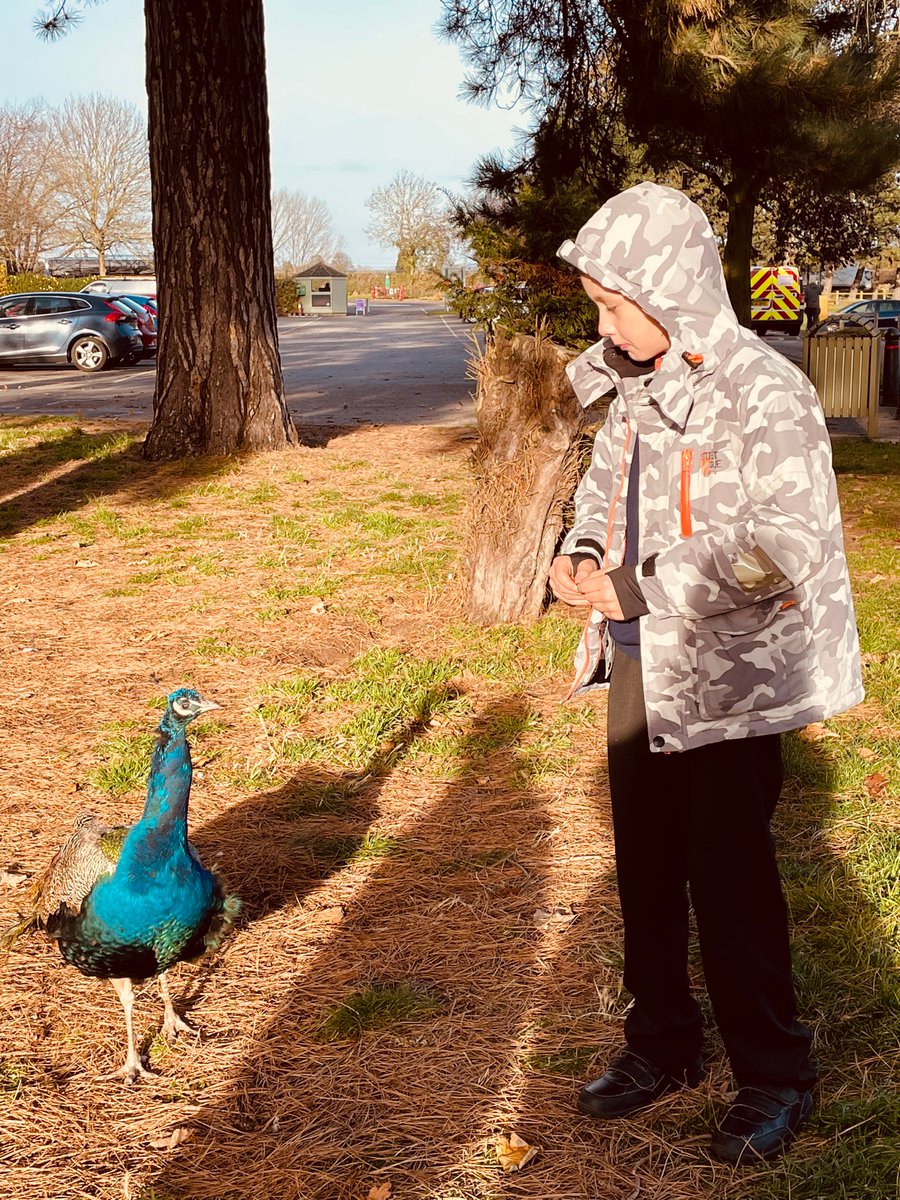 DisplayWBJS's tweet image. making colourful friends @WBJJuniorSchool