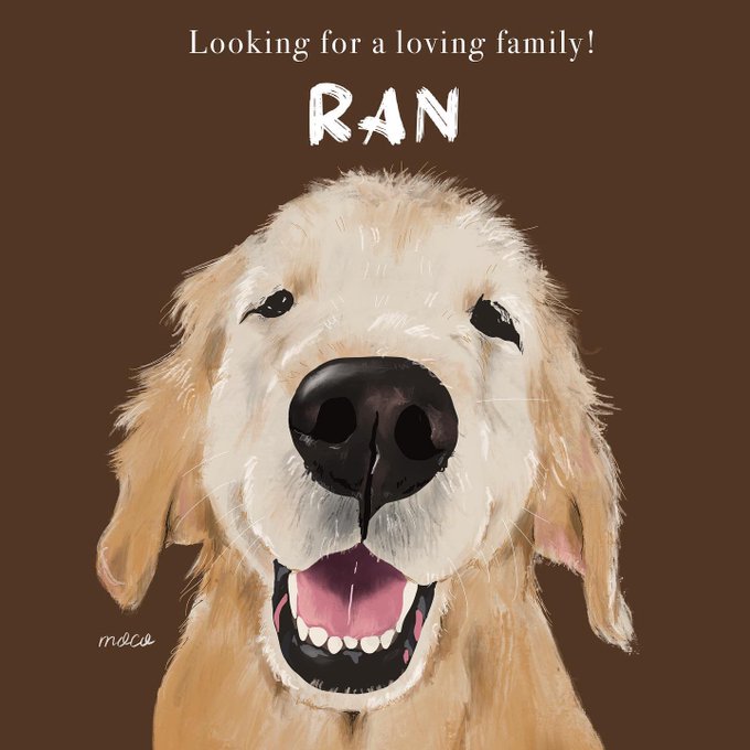 ゴールデンレトリバーのtwitterイラスト検索結果 古い順