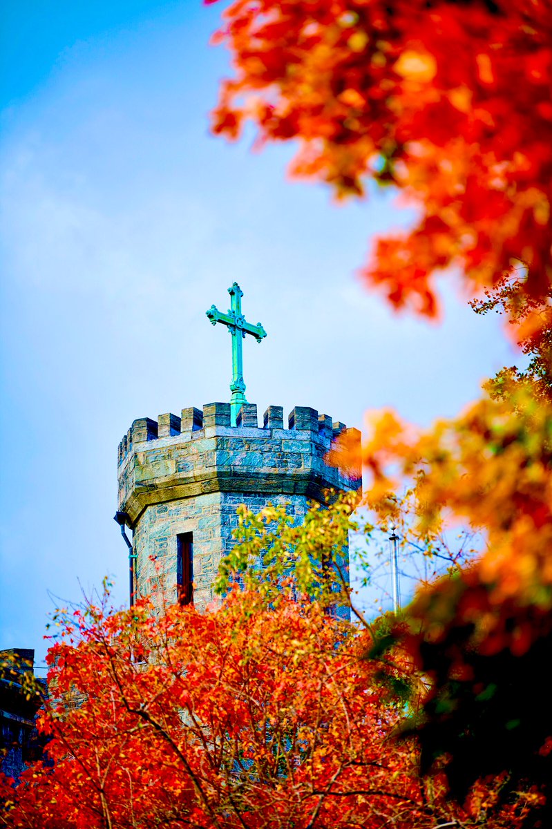Happy Thanksgiving, #CMSV! 🐬🍁

We are so grateful for the College of Mount Saint Vincent community today—and always. 💛