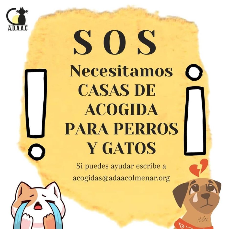 ADAAColmenar's tweet photo. ⚠️NECESITAMOS ACOGIDAS CON URGENCIA⚠️

Tenemos lista de espera para hacernos cargo de más animales y actualmente tenemos dos perros y un gato que se quedan sin nada.

No tenemos refugio, ni tenemos local... Los animales están en casas de acogida, nuestras y vuestras casas. https://t.co/ngAZm1T8UJ
