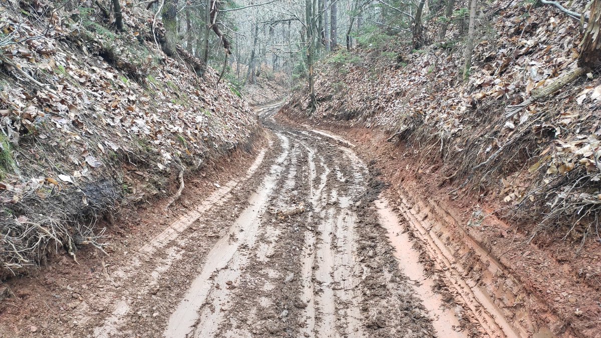 spravilo lesa takle razkoplje cesto, ampak problem so pa kolesarji, k si uredijo 2 skakalnici pa en uvivnk