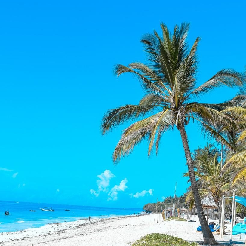 The amazing Diani Reef Beach Resort and Spa. #destinationdiani #tembeakenya🇰🇪 #diani #tourism #travel #tourist