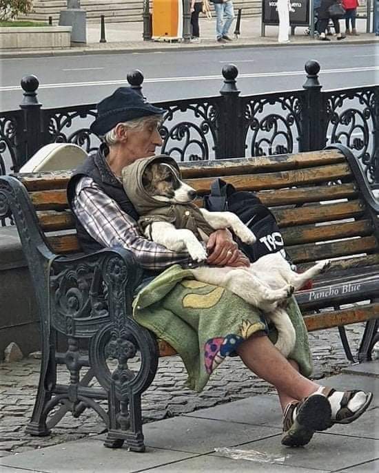 Cuánta belleza en una sola fotografía...🐾🐶🕊️💞❤️
