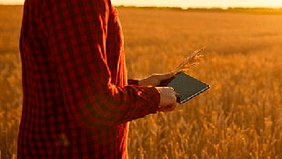 MesParcelles tweet media