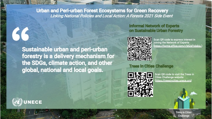 UNECE's tweet photo. Catch up on our #EuropeanForestWeek event to learn how urban& peri-urban #forests can best create positive social, economic+environmental impacts when national policy is linked with local action here: https://t.co/dTYJbvwyyh
#SustainableDevelopment #GreenCities #UrbanForestry🌳 https://t.co/w5UfP8nLRT