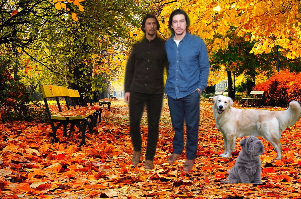 nick_bkjoe's tweet photo. This thanksgiving, I am thankful for my little family. For my soulmate who found me, for our life together. For the second thanksgiving together and forever more.

Happy Thanksgiving, love the Beckwiths 🤍💙 https://t.co/C4U4agxrMf