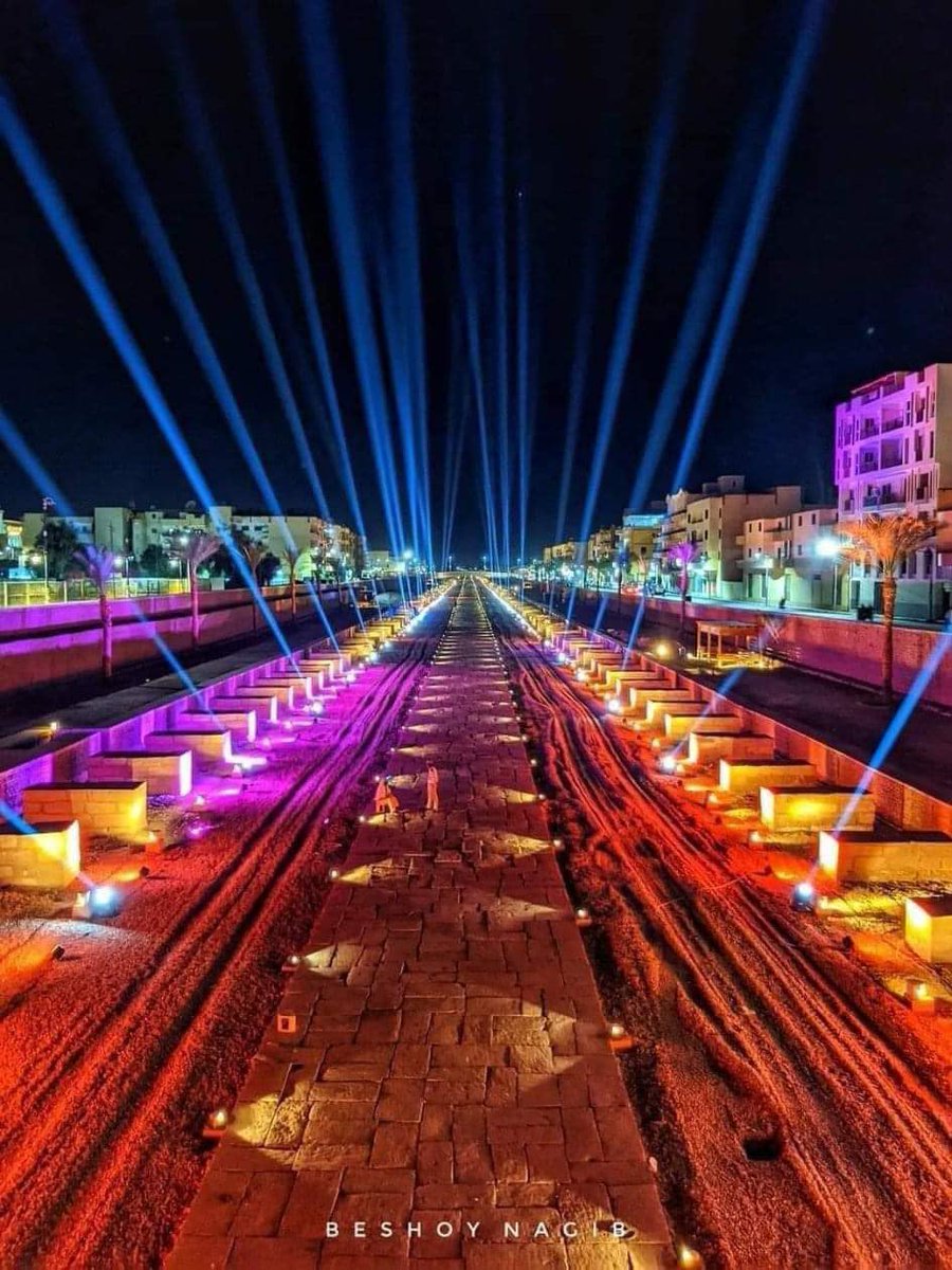 ScreenMix's tweet photo. كل هذا الجمال يحدث الأن في افتتاح طريق الكباش في الاقصر من مصر #طريق_الكباش https://t.co/AxNGqkoKJi
