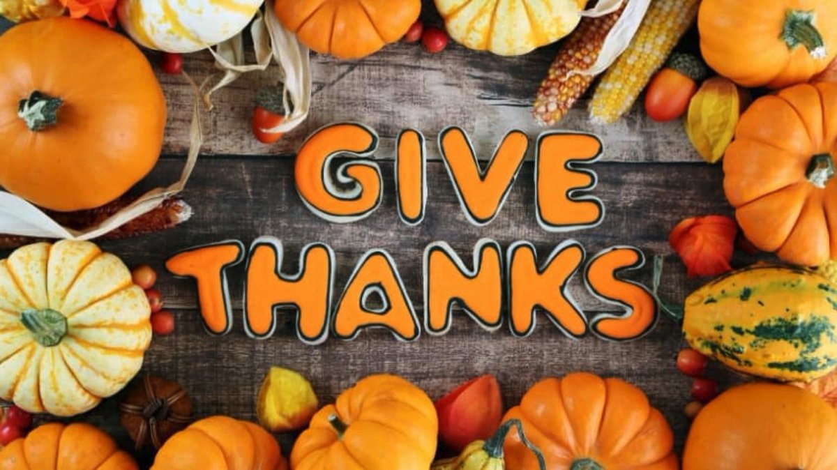 TheWomanCodePB's tweet photo. Happy #Thanksgiving from our team to yours! #Thewomancodebook https://t.co/aeWGAOVnlW