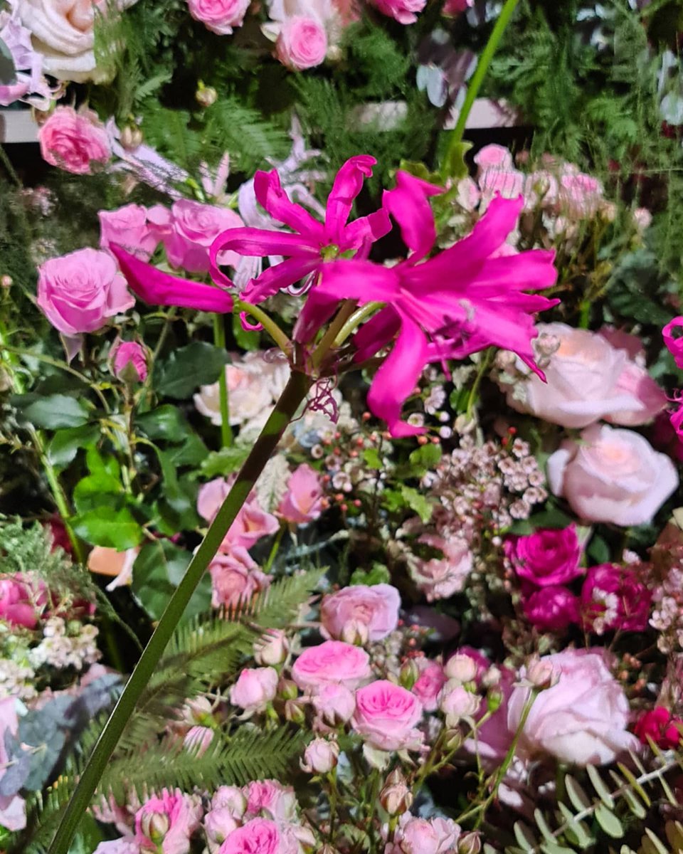 SGodeluck's tweet photo. Échappée nocturne 🌟🌟🌟🌟🌟
Soirée Excellence à la française 🇨🇵 par la @MonnaieDeParis pour célébrer #MissDior 🌸💗🌸
👏👏👏 @Schwartz_MA
#MonnaieDeParis #Dior #collection #ExcellenceALaFrancaise #ComiteColbert https://t.co/at7bWyr1Fj