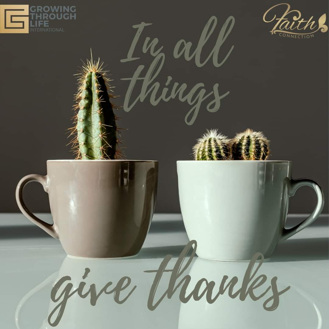 aundreatharris's tweet photo. In ALL things give thanks!
#happythanksgivng #thanks #gratitude #givethanks #growth #growthmindset #whole #wellness #faith #FaithConnection™ #FinallyAllowingItToHappen™ #GrowingThroughLife™ #yourgrowthagent™ #DrAundreaTHarris™ https://t.co/tItRRmAm0L