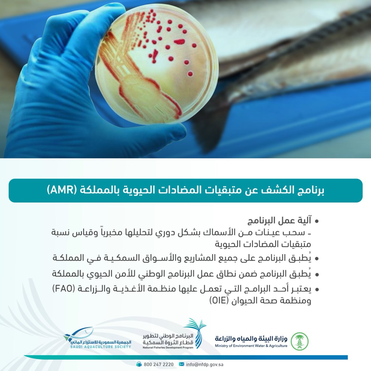 تعرّف أكثر على برنامج الكشف عن متبقيات المضادات الحيوية بالمملكة (AMR)

#الأسبوع_العالمي_لمضادات_الميكروبات
#WAAW2021