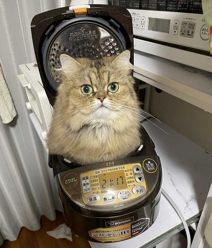 うみ Upusbr9dc0skdu9 Twitter