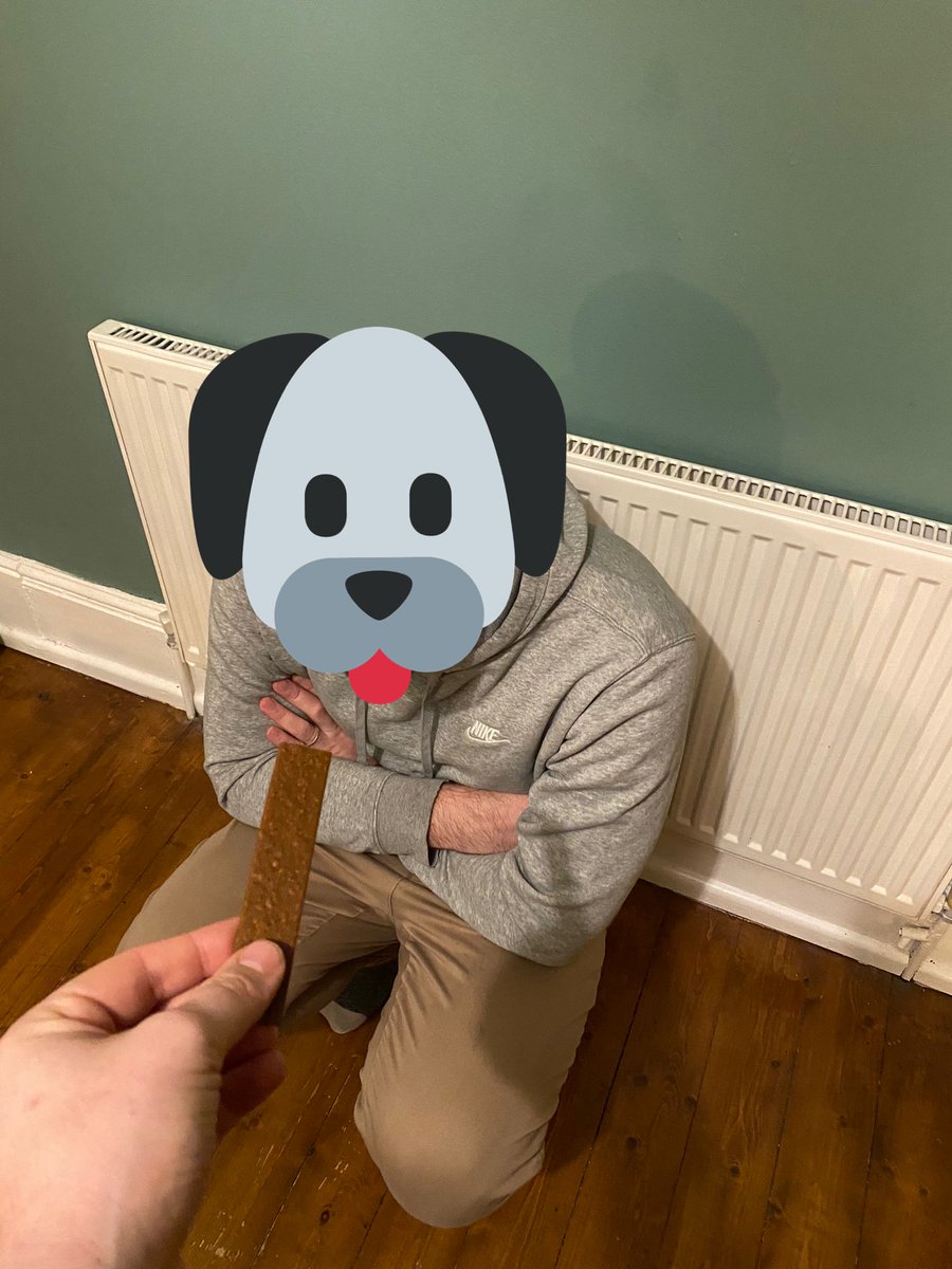 Caphson's tweet photo. @mrcraigbenson So far I’ve taught him to sit and stay… https://t.co/u52vpsqizp