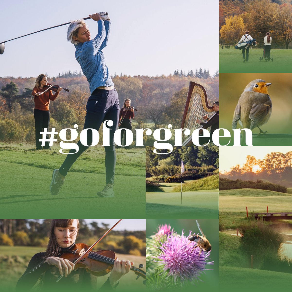 ‘Béter wordt het niet buiten!’ 
Onze campagne is live! Met de hashtag #goforgreen staat golf.nl een jaar lang in het teken van natuur, gezondheid en duurzaamheid. Doe met ons mee en beken ook kleur: groen! 🍃🍂 ✨
golf.nl/goforgreen