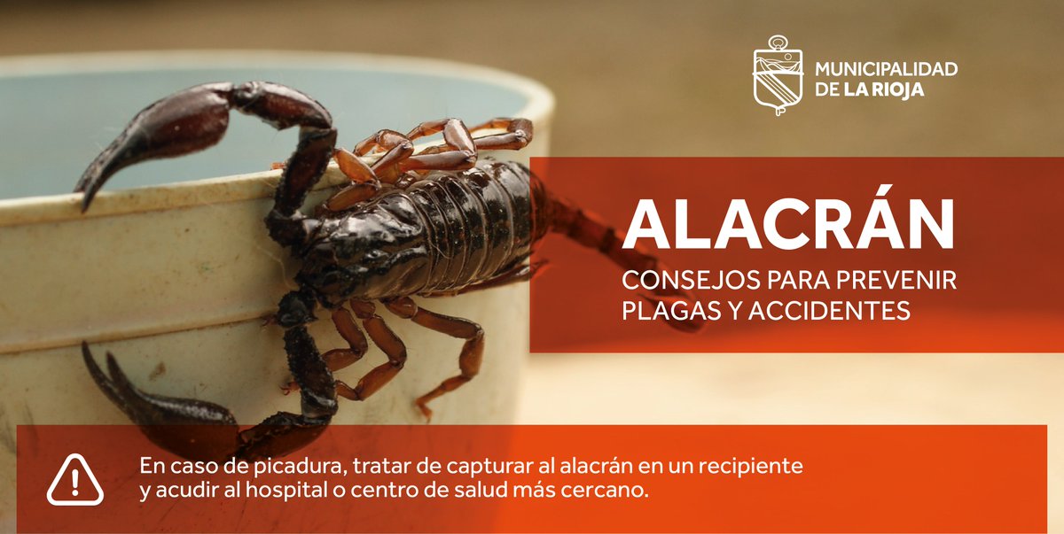 Proteccionlr's tweet photo. ⚠Alerta por la aparición de alacranes y escorpiones ⚠ ¿Qué hay que hacer?
Con el calor, vuelven los temores por la presencia de estos arácnidos que suelen salir de noche y pueden provocar episodios gravísimos.
#noscuidamos https://t.co/7Zx7fAjj6Z