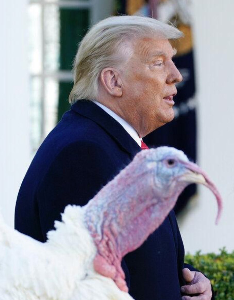 _pakled's tweet photo. @HamillHimself did you hear? Trump asked Biden if he could be the turkey that got pardoned this year. https://t.co/HwTjJXtpnc