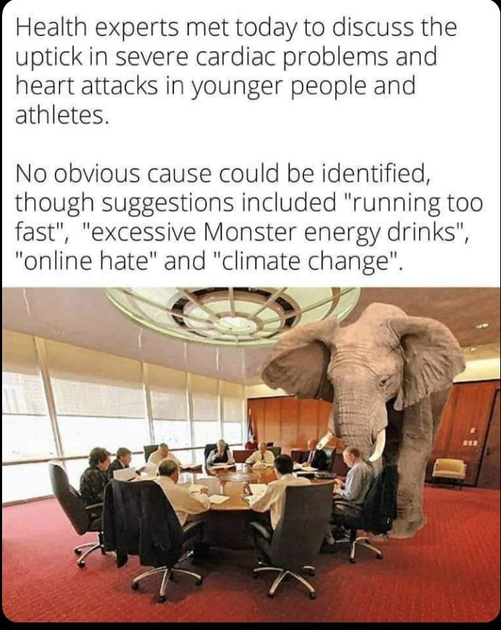 kathygarriott1's tweet photo. @RastaRedpill https://t.co/B6m6AzhifW