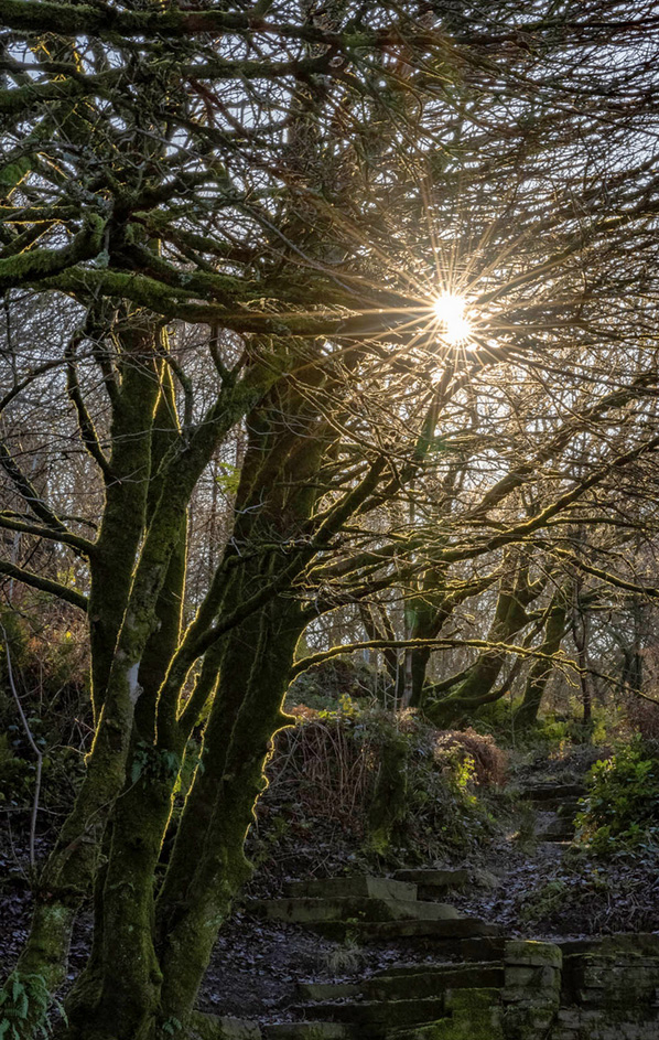Photo Walk to Rivington Terraced Gardens took place on Sunday 21st November. Winter certainly felt to be in air as we set about walking to the terraced gardens in bright sunshine under clear skies. #photography #lythamphotographic lsaps.org.uk/2021/11/riving…