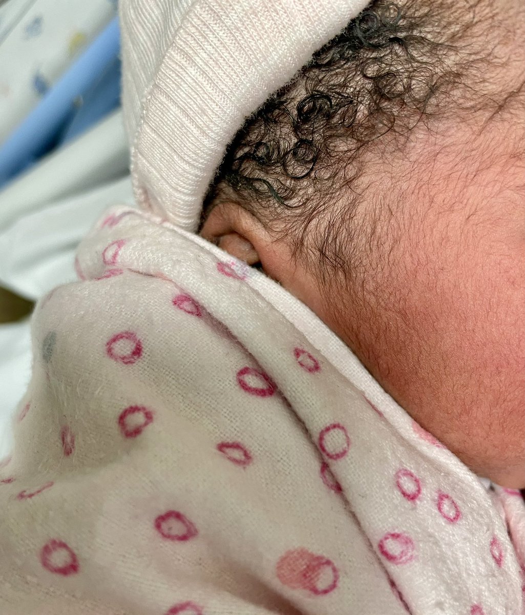 Millicent Mashile tweet media