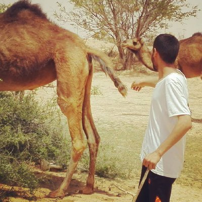 🇱🇾 Mohmmed Khabib tweet media