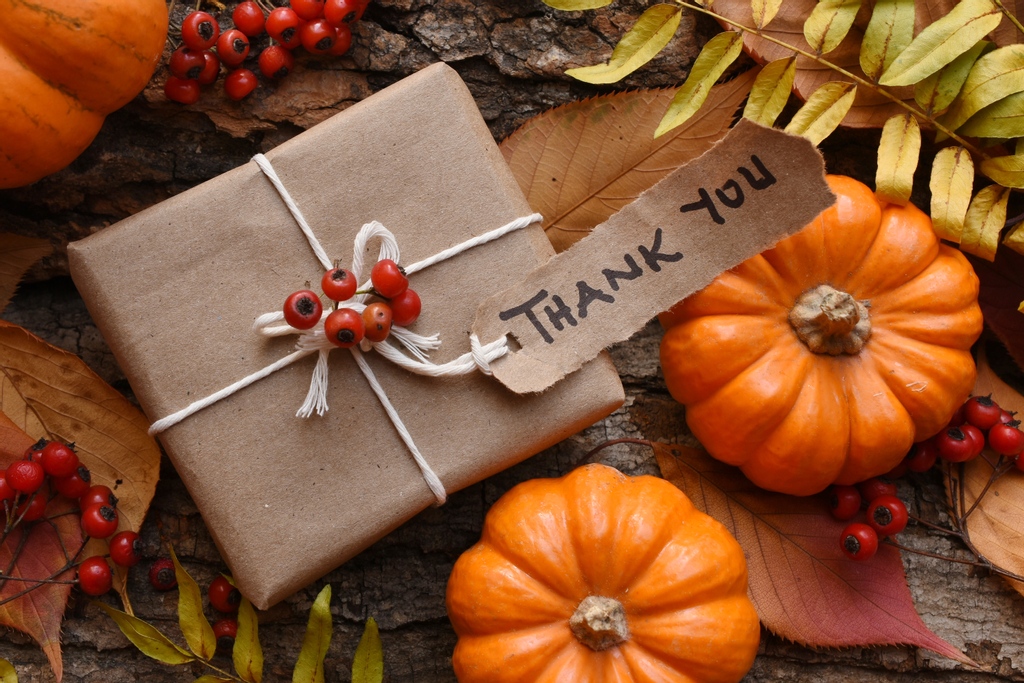 HinterlandShop's tweet photo. Happy Thanksgiving! We are so grateful for each of you!

#HinterlandOutdoors #14ers #takeyouradventurehome #happythanksgiving #turkeyday #grateful https://t.co/E1HafKSdBK