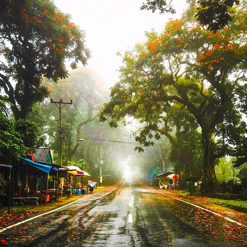 PixelliaW's tweet photo. Spend pleasant days with beautiful Pixellia wallpapers. 
Download Pixellia for free at https://t.co/nrGicKxAwJ or visit https://t.co/pqvevarKws
#Pixellia #art #wallpaper #illustration https://t.co/YvQC53hrl7