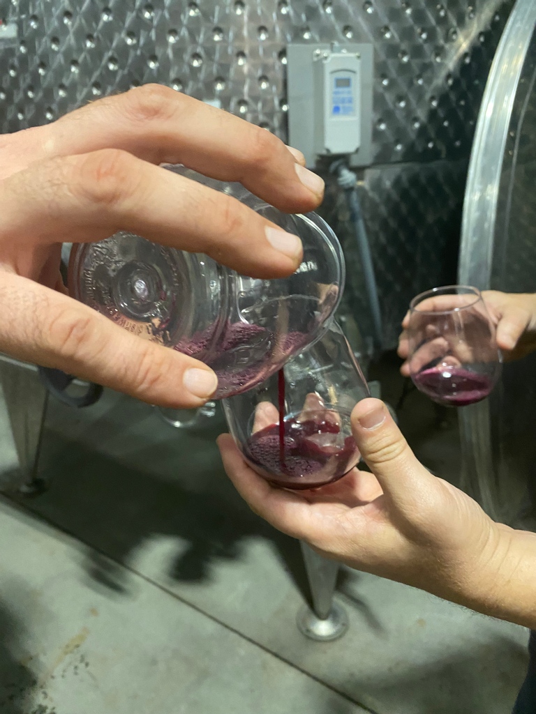 Happy Thanksgiving, everyone!
Here is a toast from our 2021 Pinot Noir, tasted during fermentation. We are thankful for a wonderful harvest this year! 🐻🐓
