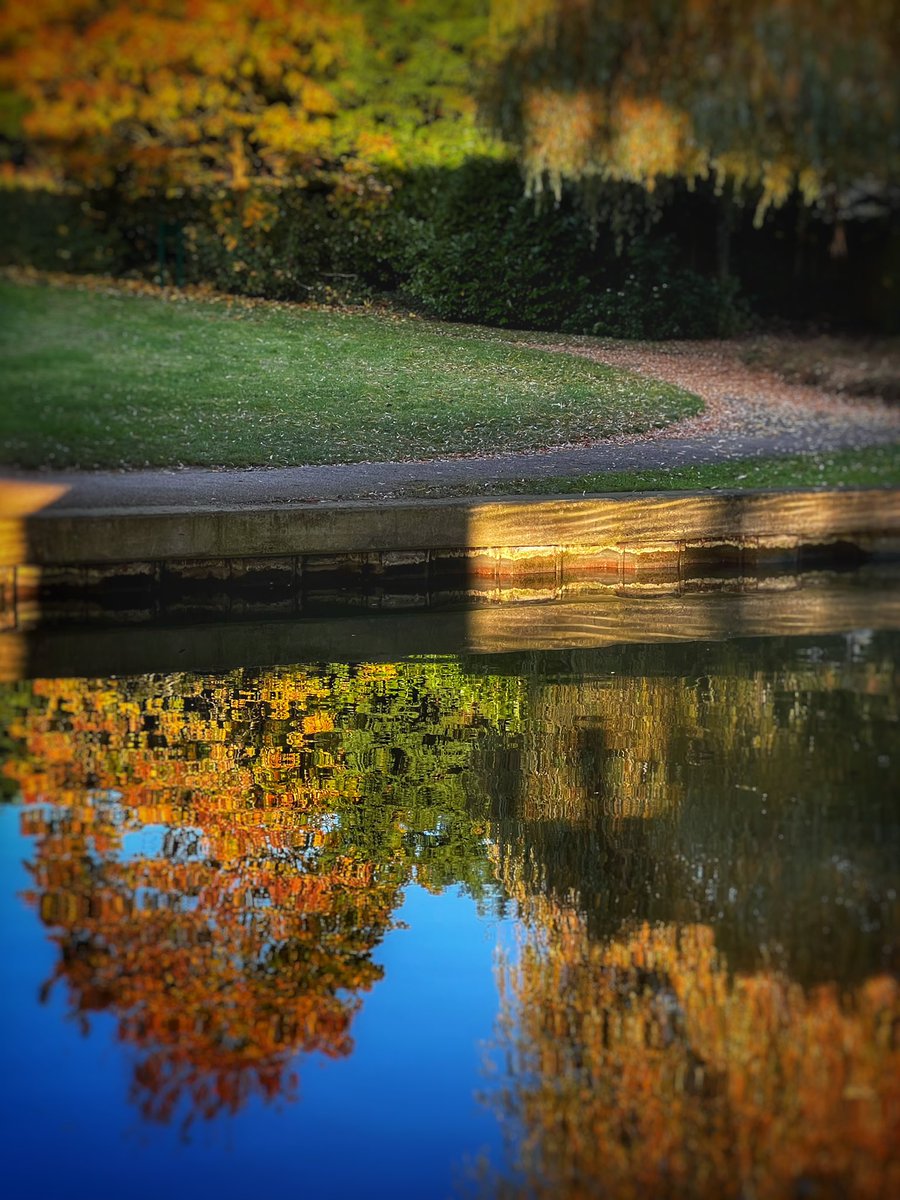 scenesfromMK's tweet photo. Autumn Walks #GrandUnionCanal #AutumnColours #TwoDucks #Squirrel @CanalRiverTrust @TheParksTrust @DestinationMK https://t.co/T32MCheV4z