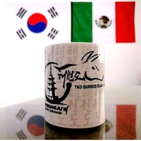 tkdburrosblanc3's tweet photo. Crecemos día a día, con la mirada a ser mejores #Taekwondo 
#Mexico 
#tkdburrosblancos
#yosoykotkd
#cuauhtemoc https://t.co/pDGTJNfhML