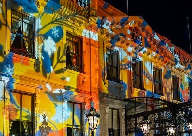 hollypereira81's tweet photo. Winter Lights at Mansion House. Based on Dublin’s native wildlife 🌿✨ Tks to @DubCityCouncil, @lightscapebrian, #EventCo, @LordMayorDublin, #DublinWinterLights. 📸@RawDublin #projection #illustration #hollypereira https://t.co/wzGtHEH7TA