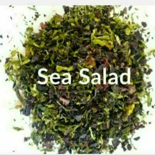 purple_pod's tweet photo. https://t.co/6kpn4ZPBss