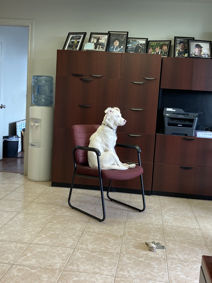 nuimageinc's tweet photo. Waiting for snow to fall at @nuimageinc. Lincoln can't wait! #WinterIsComing #snow #WeatherWatchers https://t.co/VddWR5VbnL