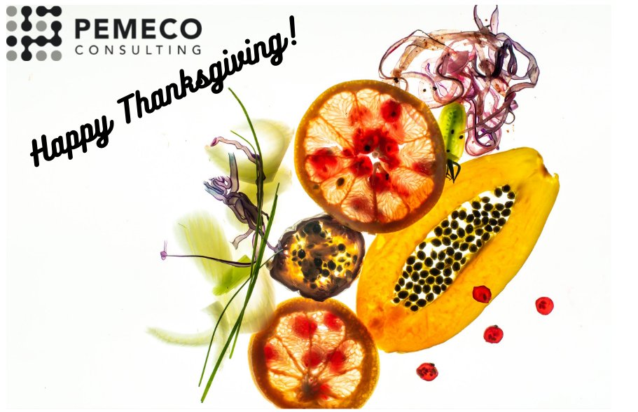 Pemeco Consulting (@pemeco) on Twitter photo 