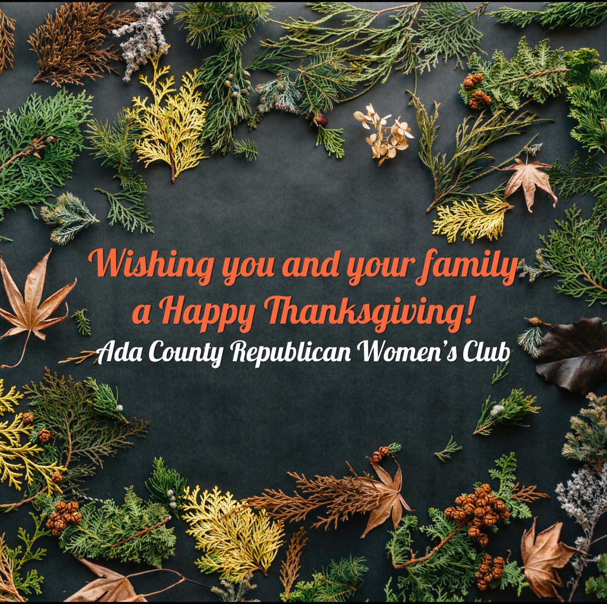 AdaRepubWomen's tweet photo. Happy Thanksgiving! 🦃 https://t.co/lqeazl7kpV