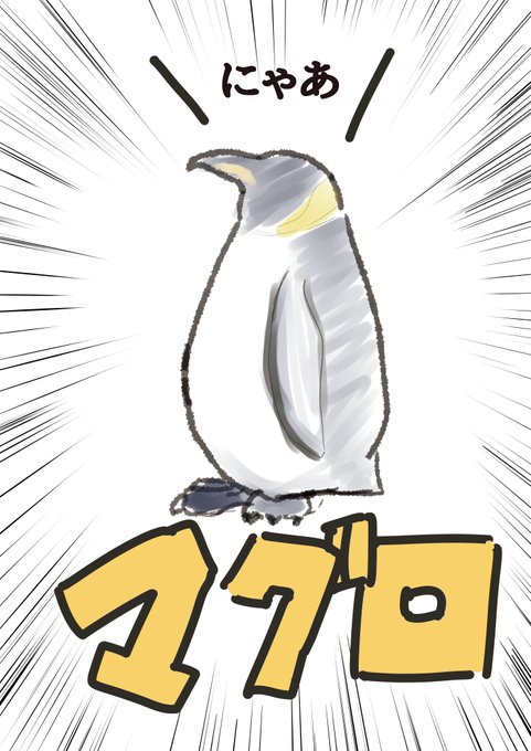 コーギーです。

#まどlive 
#まどか魔戯画 