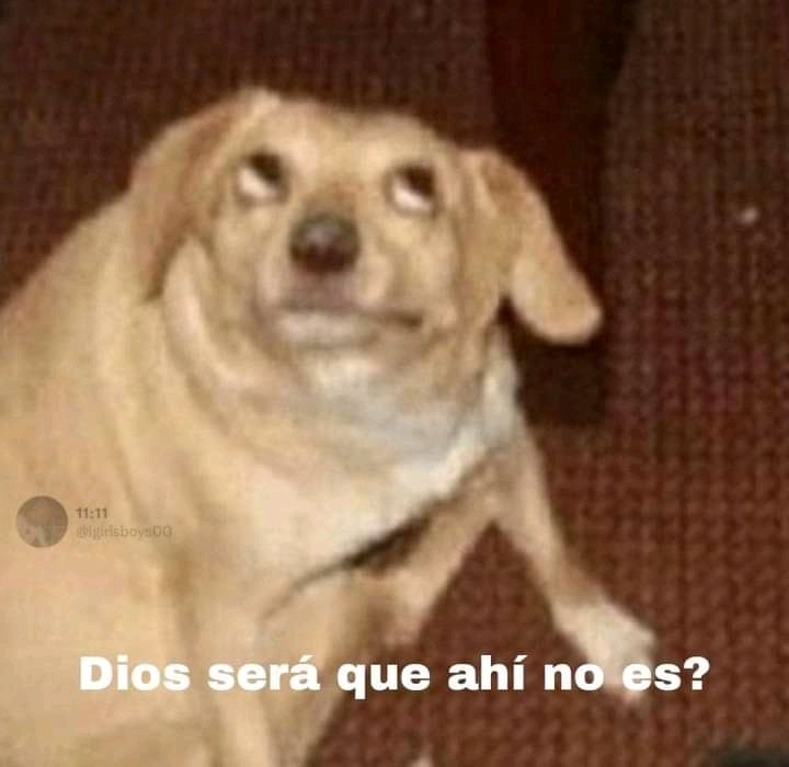 DogtorPerrito's tweet photo. *El universo me manda 1728494 señales de que ahí no es*
Yo: https://t.co/RASfHzFIzN