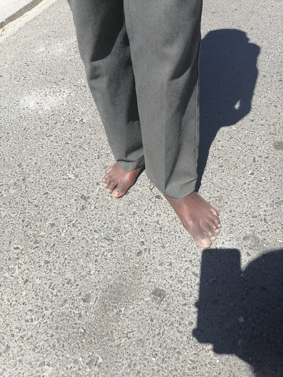 Aurorah NPC tweet media